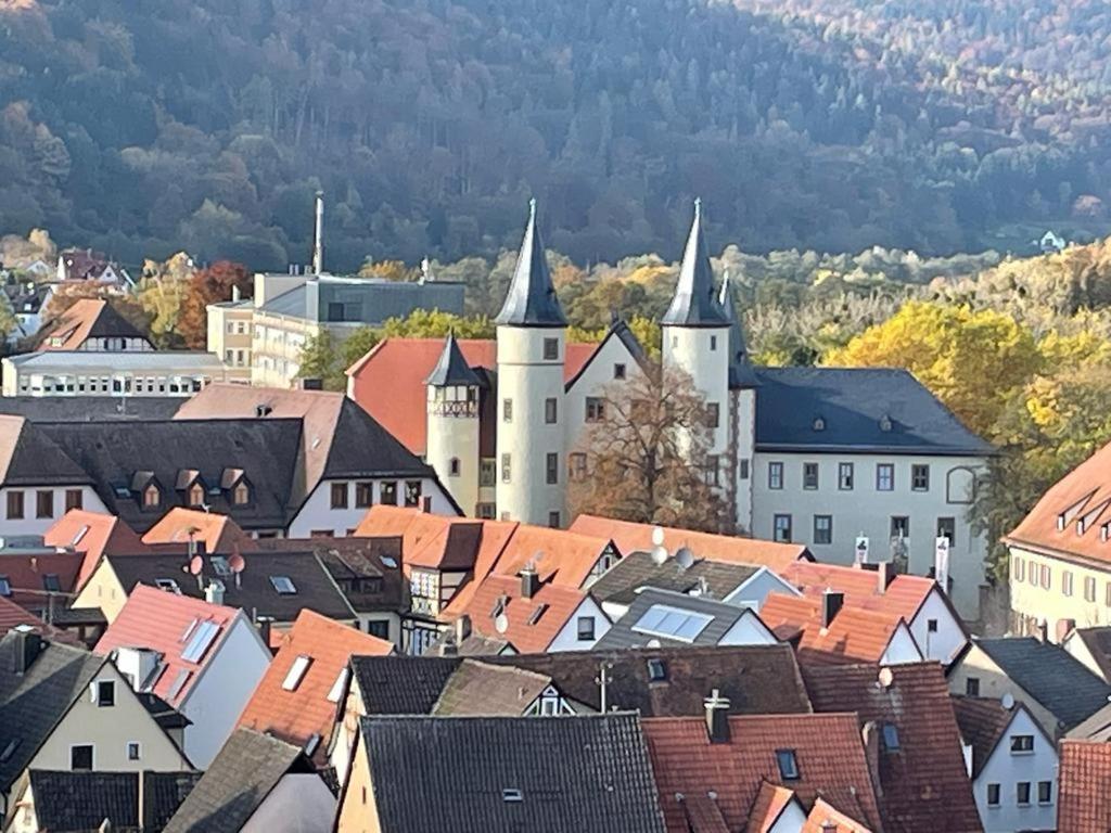 Lohr Ferienwohnung Im Springerhof מראה חיצוני תמונה